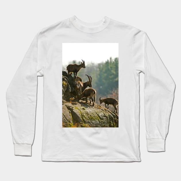 Ibex Long Sleeve T-Shirt by jaydee1400